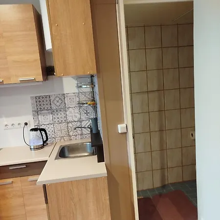 アパート Papiniidu Suedames パルヌ